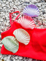 Coastal Cutie Claw Clip • 4 Colors