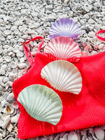 Coastal Cutie Claw Clip • 4 Colors